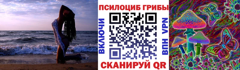 где можно купить   Ликино-Дулёво  Галлюциногенные грибы прущие грибы 